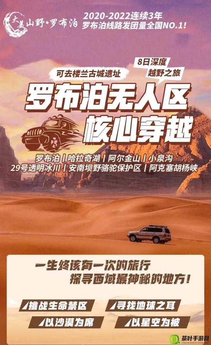 欧洲无人区码 SUV 震撼之旅：探索未知荒野的极致冒险