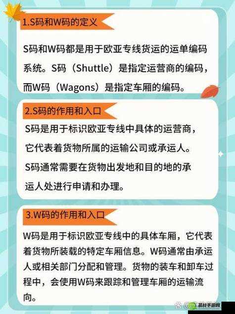 欧亚专线欧洲 W 码：关于其详细介绍及相关优势与应用领域探讨