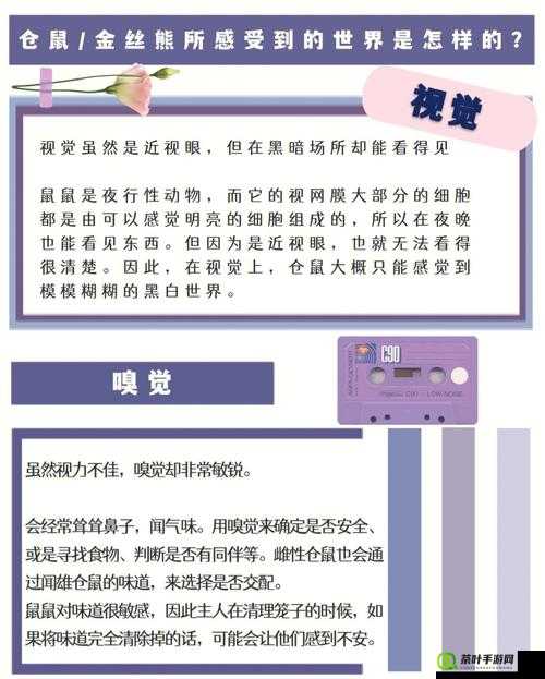 天美传媒久久久舔阴：一场视觉与听觉的极致盛宴