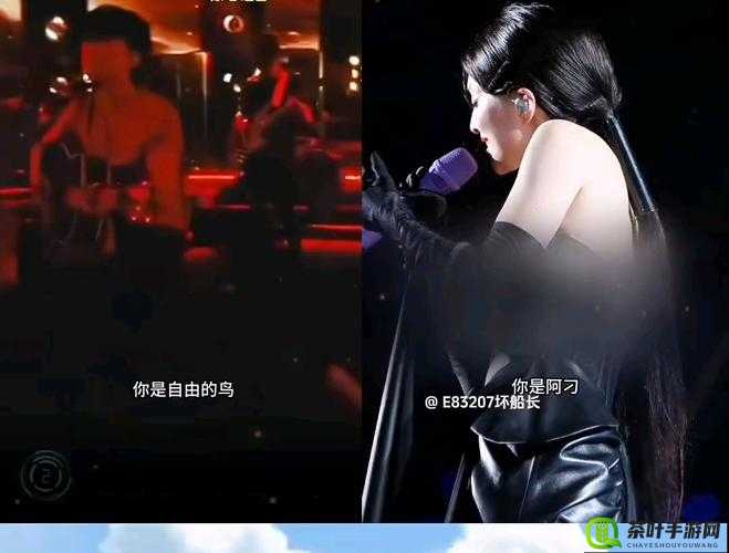 日产 MV 与欧美 MV 女主播躺平摆烂之差异探讨