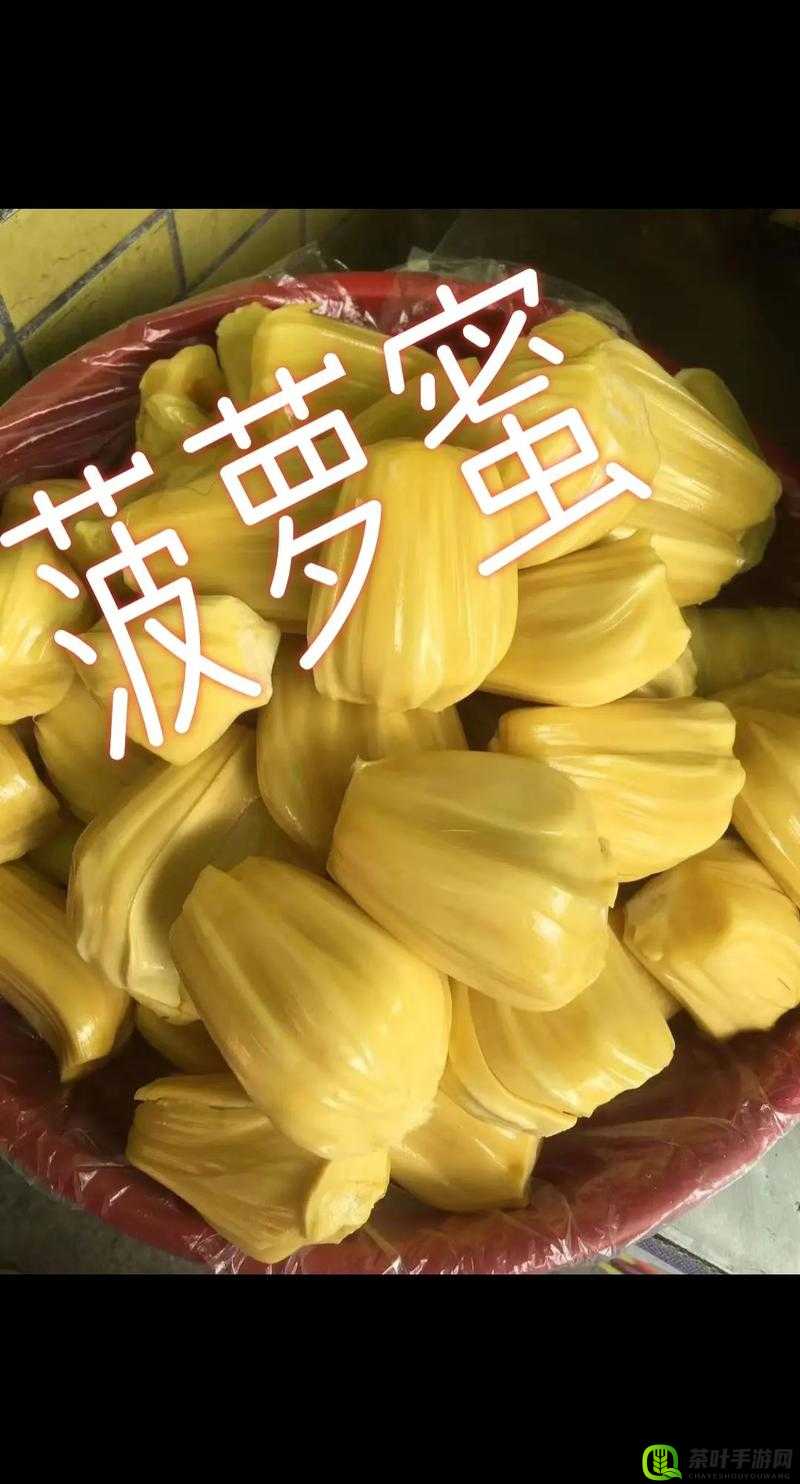 菠萝蜜免费入口 5- 畅享无限制的精彩内容