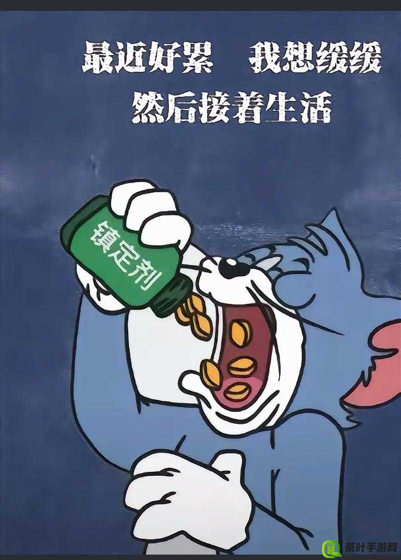 妈妈每天晚上都睡不着觉：探寻背后隐藏的秘密与困扰